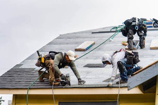 Professional Roofing technician working in Thaxton, VA